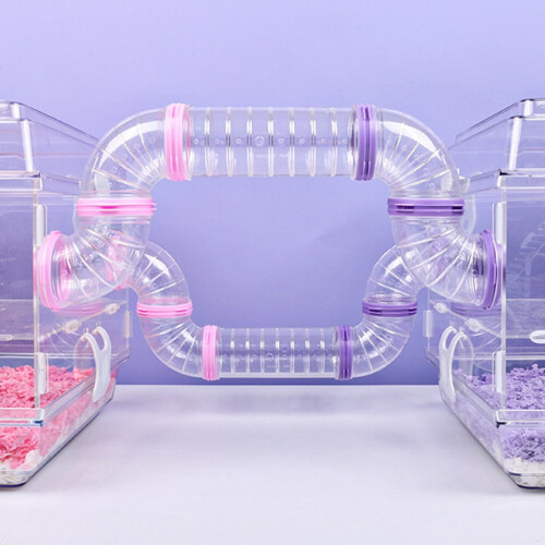 Conjunto de 4 túneis de plástico transparente para hamster 2