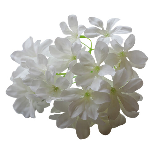 Cinn Bláthanna Hydrangea Saorga27Forc6Coirnéil