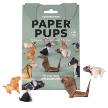 DIY3D Papieren Kat Origami Kit – Gedrukte Patronen & Stickers
