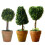 Artificial Plant Potted Green Succulents Small Tree Grass-1  4 1