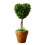 Artificial Plant Potted Green Succulents Small Tree Grass-1 3 1