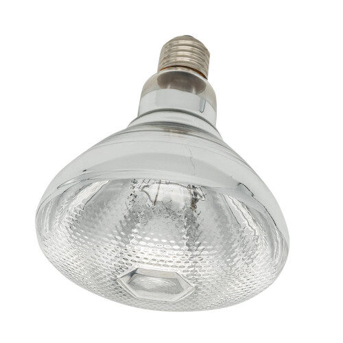 Lâmpada de aquecimento infravermelho com vidro transparente resistente, 150W, 120V 2