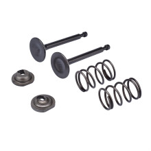 Cancanle Intake Inlet Exhaust Valve Spring Collet Retainer Set For HONDA GX160 GX200 168F 170F 5.5-6.5HP Gas Engine Motor Generator Mower