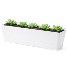 GREANER Large Window Boxes Planters, 1PCS 16x3.8 Inch White Vegetable Herb Planters with Tray, Indoor Succulent Cactus Flowers Plastic Rectangle Pot