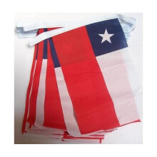 AZ FLAG - Chile Bunting Flag - 13 Ft Garland with 20 Small Chilean Flags 6'' x 4'' - 100% Polyester String Pennant - 4 meters