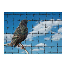 Bird Netting For the Garden 5m x 5m 28mm Anti Starling Knotted 1 1/8" Mesh Heavy Duty Black Net