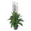 Leaf Leaf Design UK Artifical Orchid Plant 1