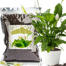 GOTVUGE Organic Peace Lily Soil Mix 4L, Indoor Plants Potting Mix for Planting, Growing, or Repotting Peace Lily Plants, Grow Healthy houseplants