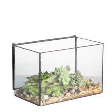 NCYP Small 17x10x12 CM Glass Terrarium Box With Lid, Tabletop Black Rectangle Planter, Handmade Clear Flower Pot for Succulent Air Plants Fern, Modern