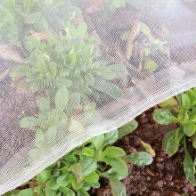 Garden Insect Netting Fine Mesh: Vegetable Protection Net 2 x 10m Butterfly netting for Plant Fruit Carrot fly Crop Protect Anti Bug Pest Silver