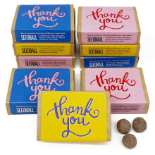 SEEDBALL Thank You Gift Wildflower Seed Bombs (Pack of 9), Eco Friendly British Wild Flower Seed Mix for Bees, Birds & Garden Wildlife, Gardening Gift