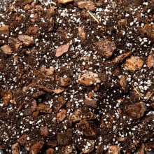 Premium Orchid Potting Mix with Biochar & Coco Coir ? Fine Orchid Bark, Perlite & Gentle Organic Feed ? Fast Draining Soil for Phalaenopsis & Indoor