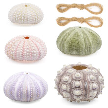 "N/A" ZUKEY 5 Pack Mini Sea Urchin Shell Hanging Pot- Decorative Hanging Air Plant Holder in 5 Styles Cute Tillandsia Succulent Display Container with