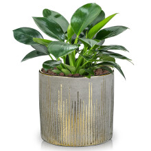 Hollyone 13.5CM Ceramic Plant Pot, Plant Planter with Drainage Hole and Plug, Decorative Garden Pot with Gold Patterns, Handmade Pottery for