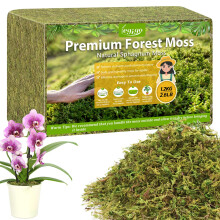 Legigo 1.2kg Premium Forest Moss for Plants, 50 L Natural Green plant Moss for Potted Plants, Dried Orchid Moss Potting Mix, Soft Real Moss Decorative