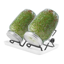 MoYouno Sprouting Jar Kit, 2Pcs Seed Sprouter Kit, Indoor Seed Sprouter,Sprout Growing Kit-with Tray,Stand, Sprout Lids,Wide Mouth Quart Mason Jars