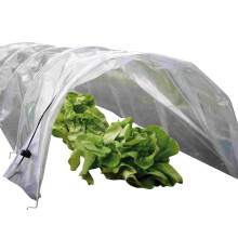 Haxnicks 3 x Easy Seedling Tunnels | Mini Ready To Use Fold Out Design Poly Garden Tunnels | Warms Soil Prior To Planting | Protect Tender Plants |