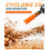 Przystawka do dmuchawy Cyclone2X do dysz 2–4" 2