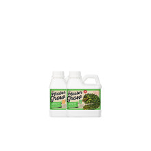 Xpert Nutrients Master Grow A+B (1L) - Basic Growth Fertilizer for the Vegetative Phase of Plant | Balanced Liquid Fertilizer | Indoor and Outdoor