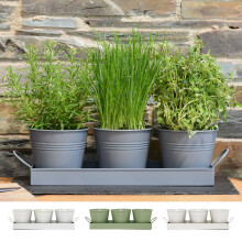 CKB LTD Set of 3 Metal Herb Plant Pots with Saucer Drip Tray Traditional Indoor Windowsill Coloured Planter Box for The Kitchen Grow Your Own Herbs