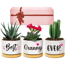 Giftasy Granny Gifts, Granny Birthday Gifts, Best Granny Ever Succulent Pots Gifts for Granny from Grandchildren, Unique Garden Gift Ideas for Granny