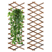 yeesport Wood Expandable Plant Trellis, 2 Pieces, Coffee Color, Rectangular, Plant Support Fence for Climbing Plants, Wall Decor Hanging Frame for