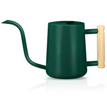 Watering Can Indoor Plants, 35oz Small Watering Can Stainless Steel Metal Watering Cans Modern Decorative Watering Pot with Long Spout for Indoor