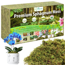 Riare 600g Natural Dried Plant Moss for Potted Plants, Artificial Fake Moss for Repotting, Soft Green Decorative Moss for Succulents, Reptiles & DIY