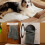 Self-Warming Pet Mat – Soft, Washable, Cordless for Cats 3