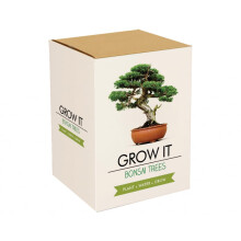 Gift Republic GR200006 : Grow It. Grow Your Own Bonsai Trees, 12.0 cm*12.0 cm*12.0 cm