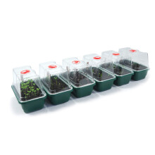 Britten & James Professional Mini Windowsill Propagators [Pack of 6]