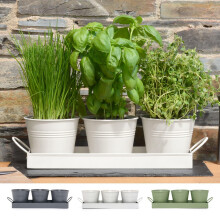 CKB LTD Set of 3 Metal Herb Plant Pots with Drip Tray Traditional Indoor Windowsill Coloured Planter Box for The Kitchen Grow Your Own Herbs for