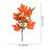 Artificial Pumpkin & Maple Leaf Cutting – Thanksgiving 3