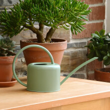CKB Ltd? Small 1.1L Indoor Watering Can - Sage Coloured Galvanised Powder Coated Steel - For Houseplants Contemporary Metal Design With Narrow Spout