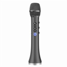 L-698DSP Bluetooth-Mikrofon, 20-W-Funklautsprecher, schwarz