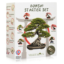 VEGETALIUS - Complete kit of 6 Bonsai with Seeds & Accessories - Made in France - an Original Gift idea for Men and Women for Your Home or Garden
