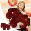 Peluche Cheval Doux à Collectionner 2