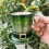 Creative Halloween Themed Drinking Cup With Clear Exteriors-1 4