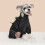 Winter Trench Coat for Dogs Warm Windproof Small to Medium 2
