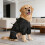 Winter Trench Coat for Dogs Warm Windproof Small to Medium 4