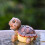 Hars schildpadden klein beeldje voor tuinpatio's, 4