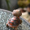 Hars schildpadden klein beeldje voor tuinpatio's, 6
