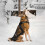 Dog Pulling Harness Adjustable for Large Breeds 7