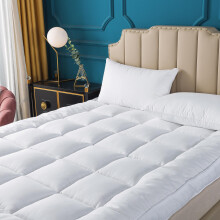 Naluka Mattress Topper(Twin Size), Premium Hotel Collection Down Alternative Quilted Featherbed Microfiber Mattress Pad 2 Inch Thick Mattress Cover