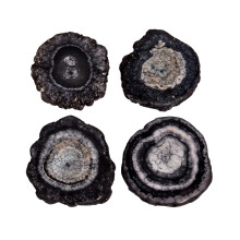GEMKORA (4 pcs) Black Coral Quartz Slice Mix Gemstones, Home, Office, Living Kitchen, Room Decor, Loose Gems, DIY, Wire Wrapping, Reiki, Wikka,