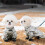 Snow Dog Waterproof Winter Snowsuit with Booties for Small 5