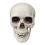 Gothic Skull Desktop Ornament with Movable Jaw 1