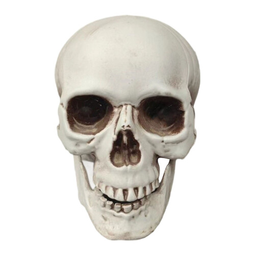 Gothic Skull Desktop Ornament with Movable Jaw