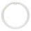 Lâmpada fluorescente circular T5 22W 7,25 polegadas 4 pinos 1