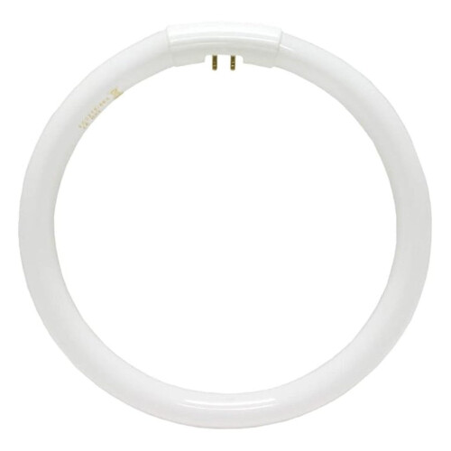 Lâmpada fluorescente circular T5 22W 7,25 polegadas 4 pinos